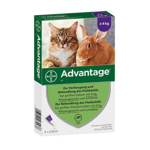 AD-VANTAGE 80 mg für Katzen 4St. (4-8kg)