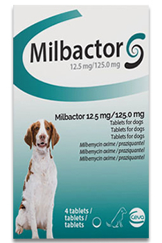 MILB ACTOR Hund 12,5/125 mg 4 St. (5-75kg) Wurmkur