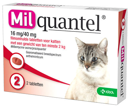 Milquantel Katze |16 mg/40 mg| 2  Filmtabletten