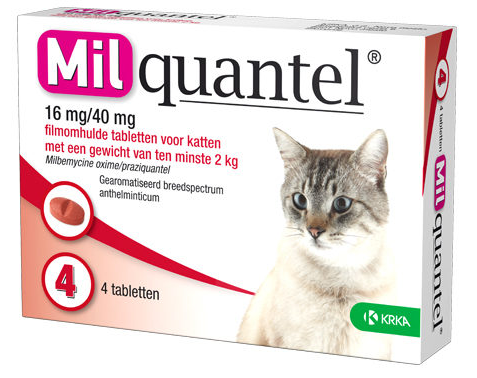 Milquantel Katze |16 mg/40 mg| 4  Filmtabletten